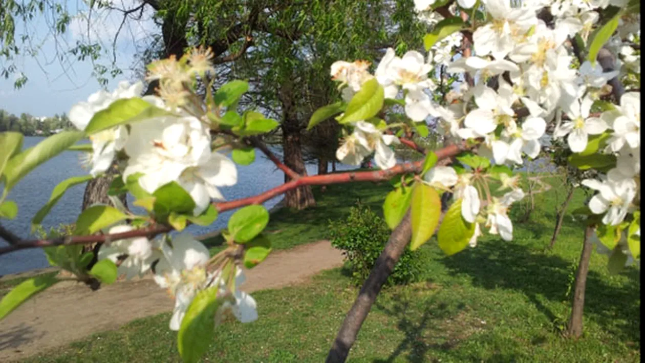 Meteo 19 aprilie. Afla cum va fi vremea duminica, dar si cum sa te imbraci