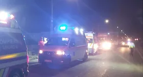 Galerie foto - poza 4