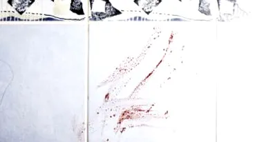 Crima odioasa in Republica Moldova: un bebelus de noua luni a fost omorat cu cruzime si abandonat in cada