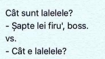 BANCUL ZILEI | Cât sunt lalelele? 7 lei firu', boss!