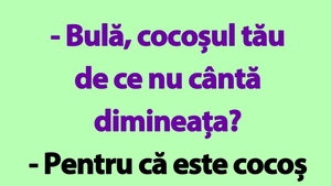 BANC | "Bulă, cocoșul tău de ce nu cântă dimineața?"