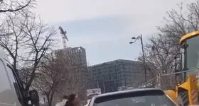 Galerie foto - poza 4