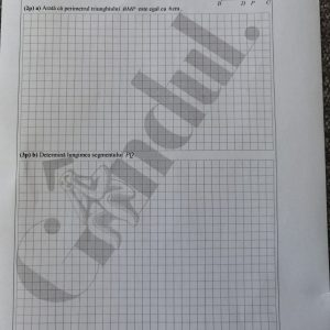 Barem Matematică la Evaluarea Naţională 2021. Cum se rezolvau subiectele