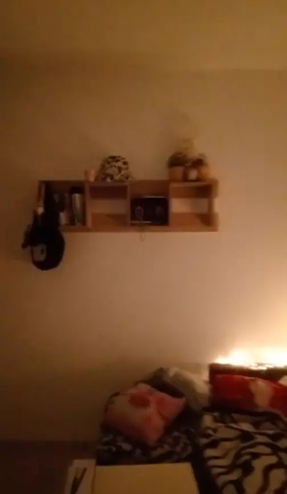 Imagine din garsoniera lui David Pușcaș/ Sursa foto: TikTok