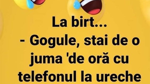 BANC | "Gogule, stai de juma' de oră cu telefonul la ureche"