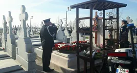 Galerie foto - poza 3