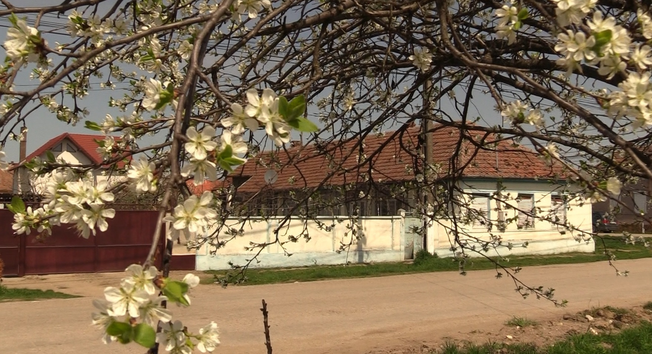 Pe străzile din Zădăreni e liniște acum