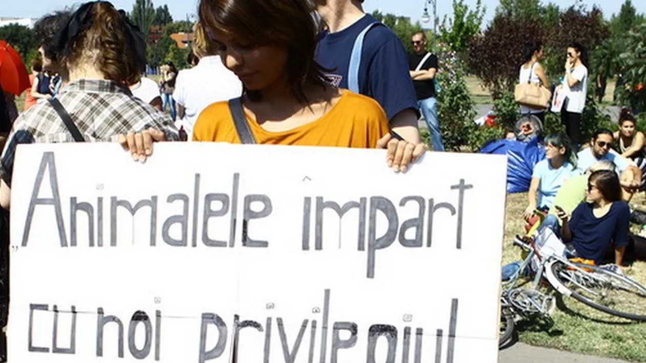 Amintiri din spital ale Andreei Popescu: “Tata si mama imi citeau zilnic despre catei si imi spuneau ca sunt animale bune!”