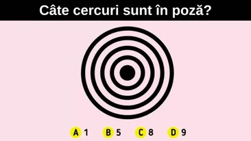 Test IQ | Numai geniile adevărate văd câte cercuri sunt în această poză, în doar 5 secunde!