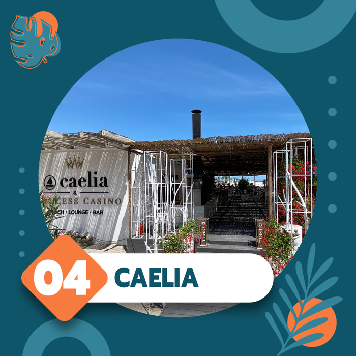 Top 5 cele mai tari locuri de distracție din Mamaia. CANCAN.RO a făcut clasamentul „destinațiilor” luate cu asalt la mare