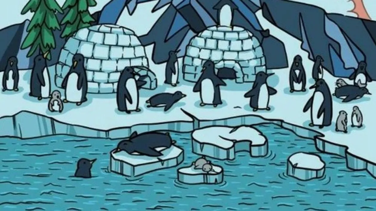 Test IQ exclusiv pentru genii | Numai mințile agere văd unde se ascunde foca, în doar 5 secunde!