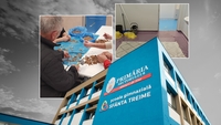 Strigătul disperat al unei femei de serviciu de la o școală bucureșteană: „Directorul ne pune să-i spălăm covoarele și să-i curățăm peștele”