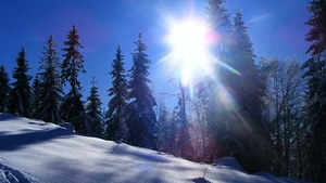 Temperatura ajunge pana la 16 grade! Prognoza meteo pentru luni si marti