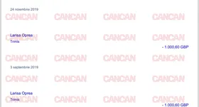 Galerie foto - poza 3