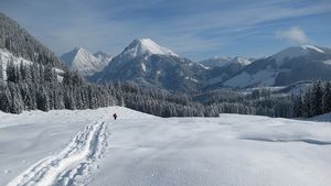 Alertă meteo de ninsori şi vânt puternic!