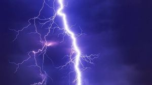 Fenomene extreme în București, după furtuna devastatoare de vineri