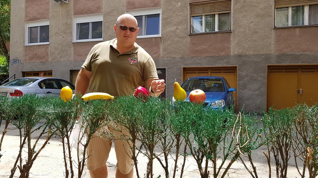 Trecătorii au "plantat" fructe în gardul vopsit