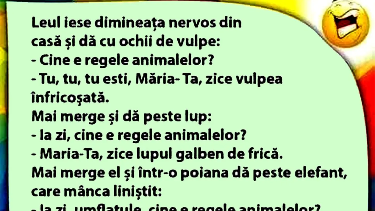 BANC | Leul iese dimineața nervos din casă
