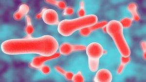 Un bărbat din Rădăuți a mâncat gogoșari în oțet, iar acum este internat în spital și diagnosticat cu... botulism