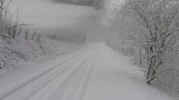 Avertizare Cod portocaliu de ninsori abundente pentru sase judete, din sud-vest