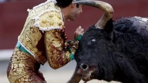 VIDEO Un toreador spaniol renumit a fost la un pas de moarte, fiind grav ranit de un taur
