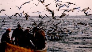 Delta Dunării: între gheață și speranță. Douăzeci de ani de supraviețuire la capătul hărții