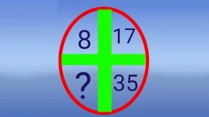 Test IQ | Ce număr urmează în seria din imagine: 8, 17, 35?