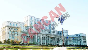 Palate la preturi de nimic