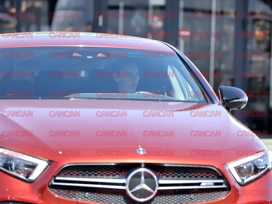 Noua achiziție a Ramonei Olaru