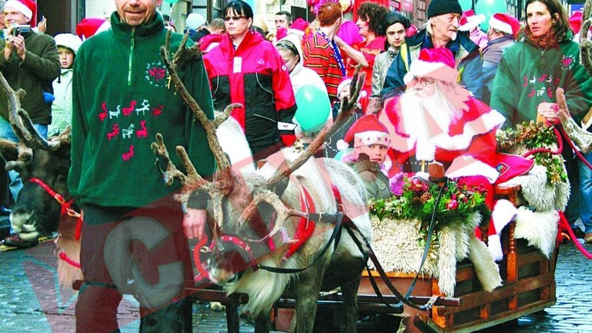 Renul Rudolph e femela!