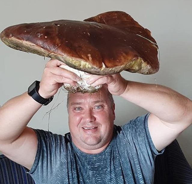 Marius se plimba prin pădure, în Poiana Brașov, și a văzut ceva incredibil: ”Prietenii mei nu m-au crezut nicio secundă…”