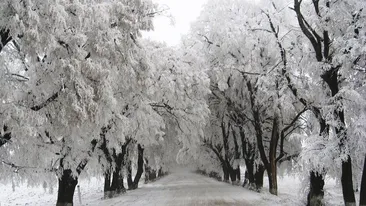 Se îngroaşă gluma! ANM a emis avertizare pentru toată ţara! Zonele unde e cod portocaliu de ninsori şi viscol