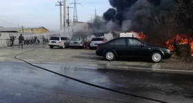 Galerie foto - poza 2