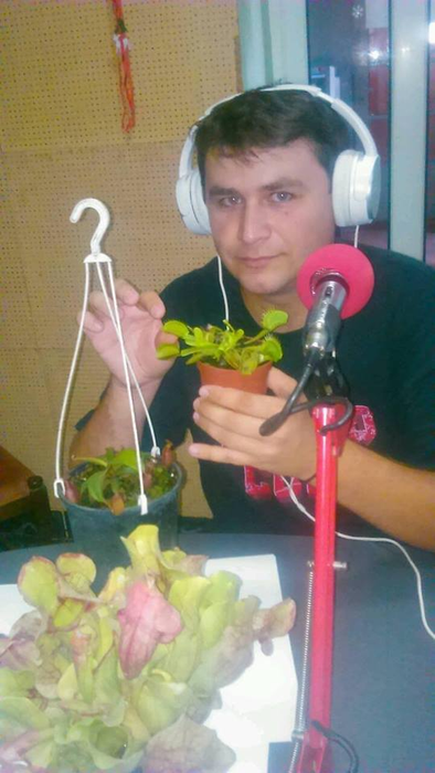 Plantele carnivore sunt marea pasiune a sătmăreanului