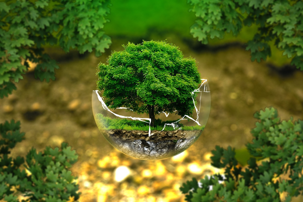 Protecția mediului înconjurător (Sursă: Pixabay)