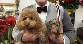 Galerie foto - poza 4