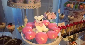 Galerie foto - poza 2