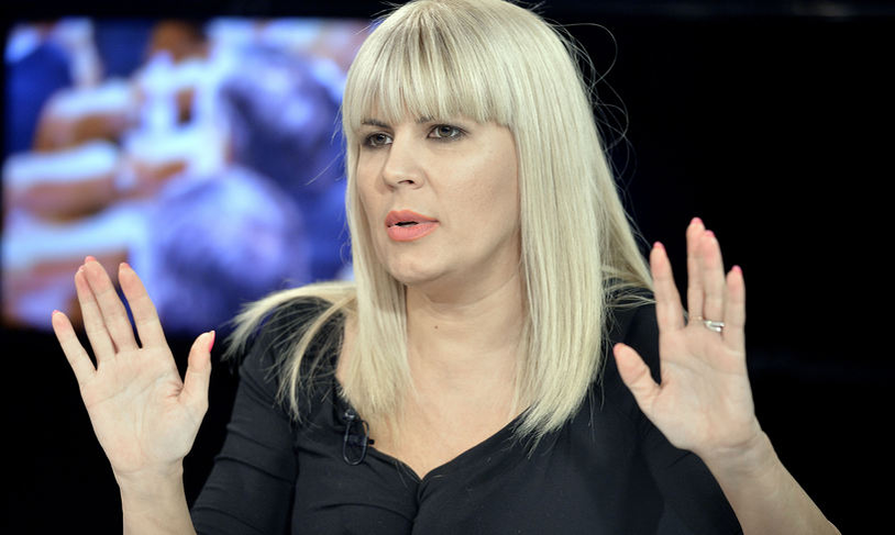 Decizie de ultimă oră a Elenei Udrea. Ce a cerut prin avocatul său