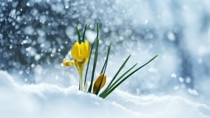 Prognoza meteo 26 februarie 2019. Nu scăpăm de ninsori