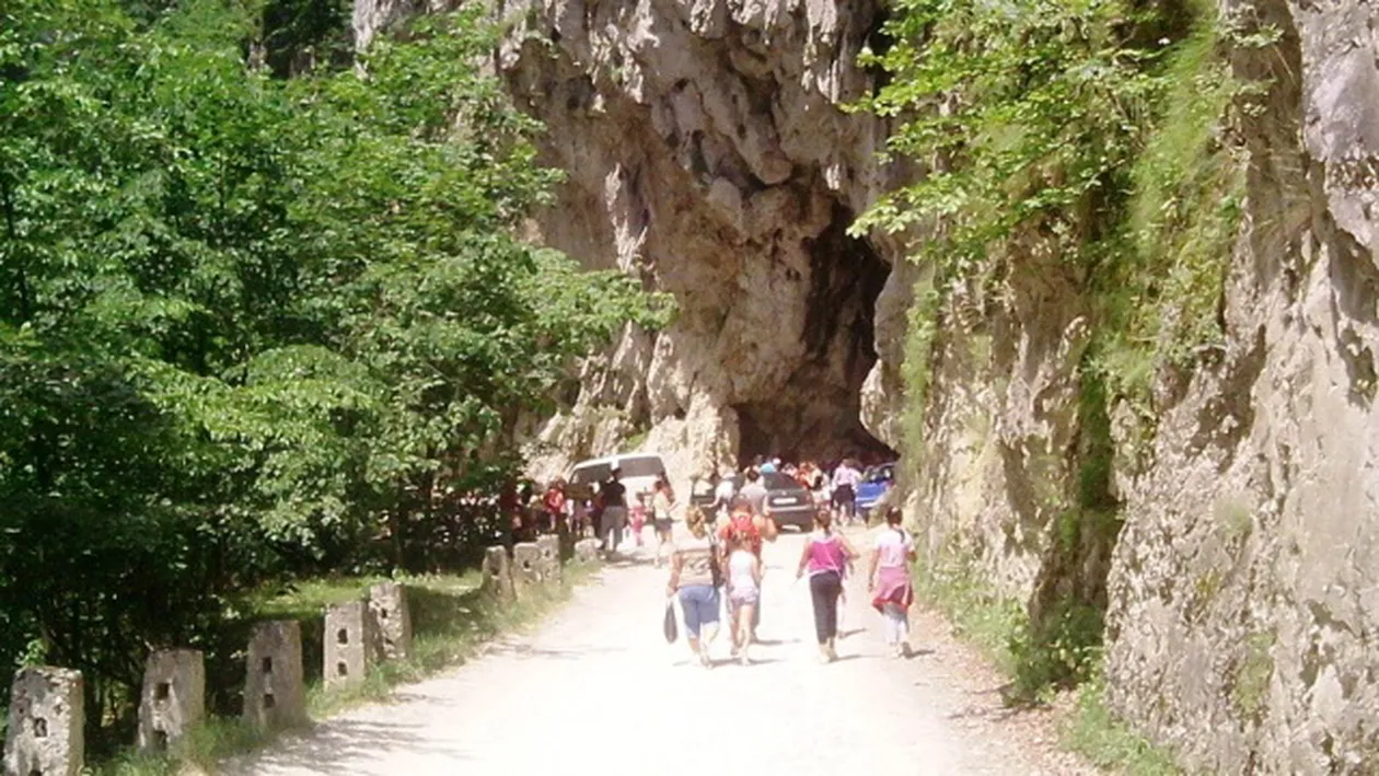 Locul in care a murit mama Monicai Gabor este blestemat. Afla ce au patit cei care au tulburat linistea zonei