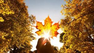 PROGNOZA METEO. Temperaturi de primăvară pe timp de zi, ger noaptea! Cum va fi vremea în perioada 25-28 ianuarie
