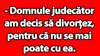 BANC | Bulă, judecătorul și motivul de divorț