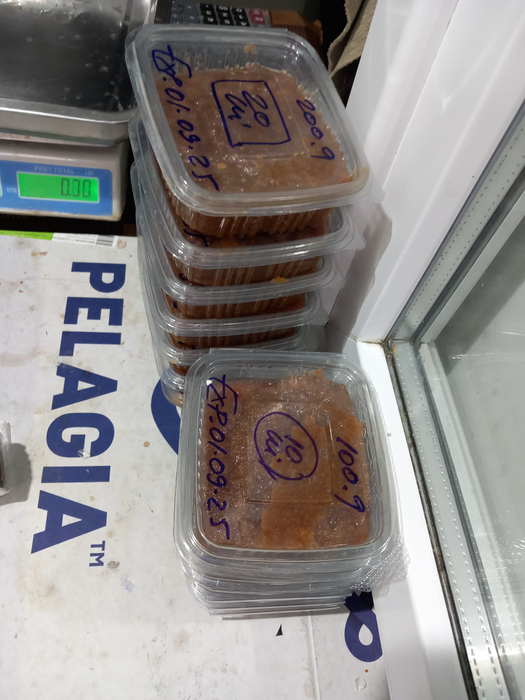 Piedone a luat magazinele cu pește la control, înainte de Florii! A găsit GÂNDACI, icre expirate, pești necorespunzători