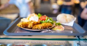 Galerie foto - poza 1