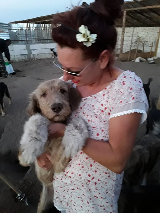 Dragostea Danielei Popovici pentru animale nu are margini