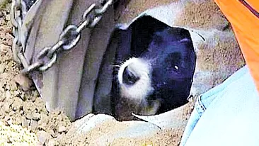 Prins sub pamant timp de 19 ore