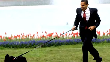 Barack Obama strange fecalele cainelui sau, cand il plimba prin gradina Casei Albe