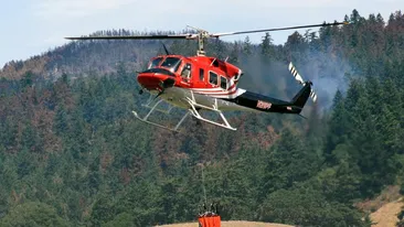 Incendiu de proporții în Vâlcea. O pădure de stejari arde pe o suprafață de 7 hectare