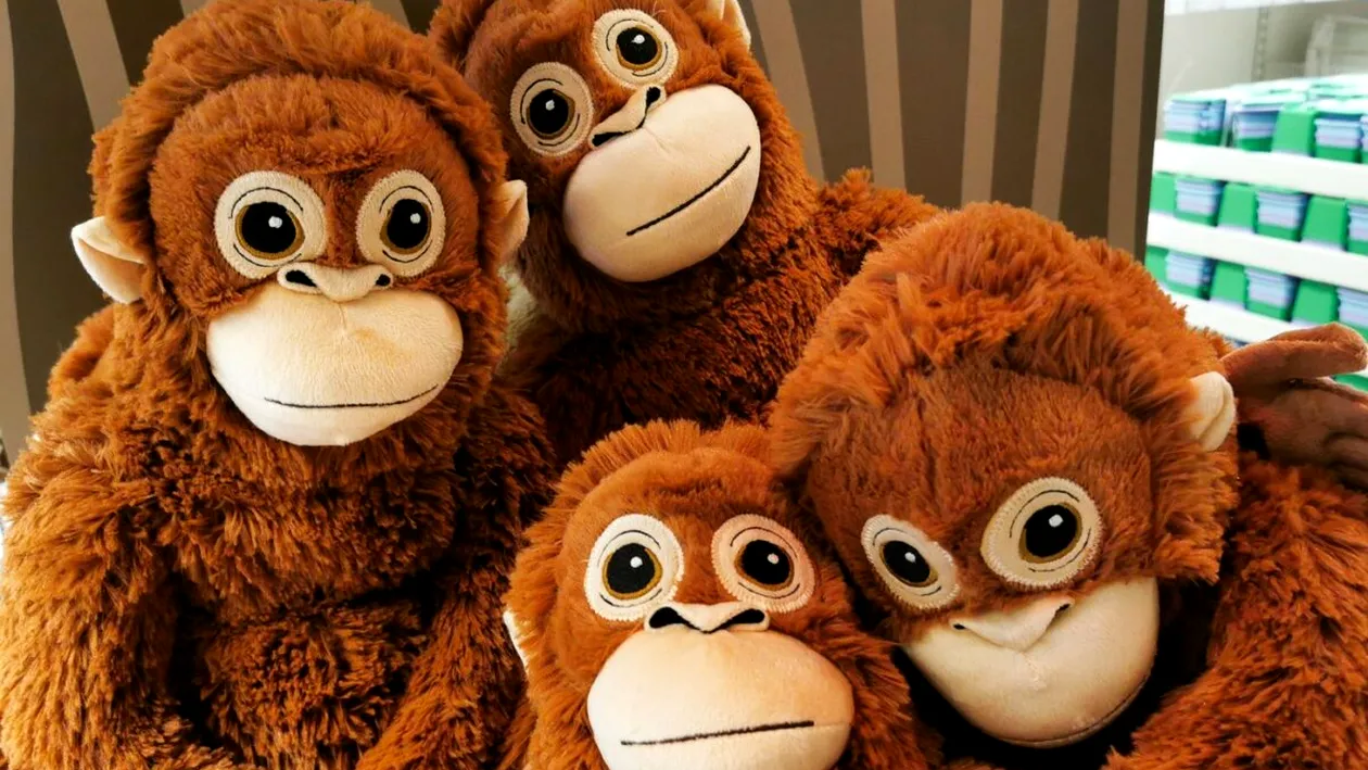 Povestea lui Punch, puiul de maimuță abandonat după naștere: de la emoție la un fenomen comercial. Urangutanul de pluș de la Ikea e stoc epuizat!