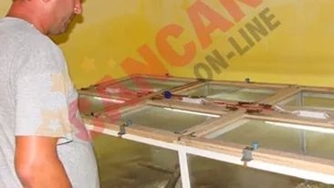 A investit banii de masina in vipere cu corn